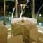 Riviera Golf Resort